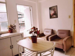 LSY Bacolod 1 bedroom apartment